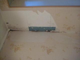 post-23106-0-41696300-1416202141_thumb.jpg